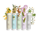 Paul Mitchell Clean Beauty Everyday Shampoo 8.5 fl oz - New