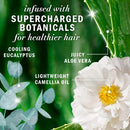Herbal Essences Eucalyptus Sulfate Free Shampoo, For Dry Scalp 13.5 fl oz - Imperfect Container