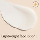 Aveeno Daily Moisture Face Lotion 12 fl oz - Imperfect Container