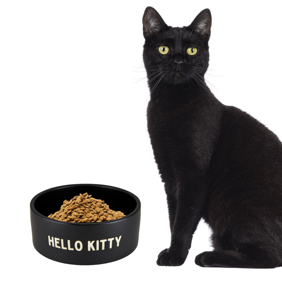 Hello Kitty Ceramic Pet Bowl in Black | Circular Pet Water Food Dish Feeder |  6