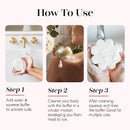 Season's Greetings | Holiday Tree Gift Set