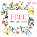 FREE Mystery Boot Giveaway!