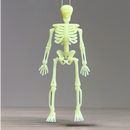 6” Glow in the Dark Skeleton Charm - Tumbler Handle Charm