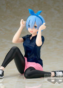 Re:Zero Starting Life In Another World Relax Time Rem Training Style Ver