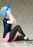 Re:Zero Starting Life In Another World Relax Time Rem Training Style Ver