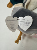 Ty Beanie Baby Jake The Mallard Drake Duck, 1997 1998 P.V.C. Pellets 14 Errors
