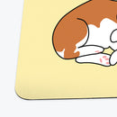 Sleepy Corgi Playmat