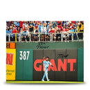 Johan Rojas Philly Love Philadelphia Phillies Autographed 11" x 14" Photo Inscribed I ♥ Philly