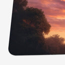 Cats And Dogs On Ferris Wheel Playmat