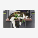 Space Cat Playmat