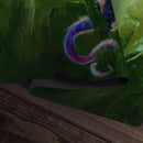 Faerie Dragon Playmat