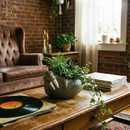 Large Laying Walrus Planter | Ceramic Aquatic Animal Design Pot | 8" x 6"