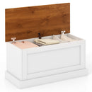Large Storage Chest with Safety Metal Hinge