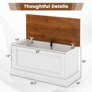 Large Storage Chest with Safety Metal Hinge
