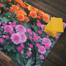 Colorful Blooms Playmat