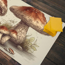 Fungi Family Playmat