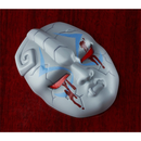 Good Smile Company: Nendoroid: JoJo's Bizarre Adventure - Dio Brando #1624