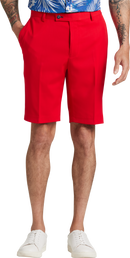 Paisley and Gray Mens Slim Fit Shorts