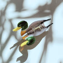 Mallard Duck Small Hair Claw