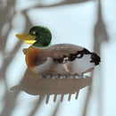 Mallard Duck Small Hair Claw