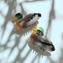 Mallard Duck Small Hair Claw