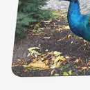 Ron the Peacock Playmat