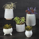 Matte Dot Cream Planter with Legs | Decorative Ceramic Plant Pot | 4" x 3.5"