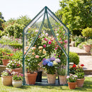 Mini Green House Metal Frame with Waterproof Bottom Mat and Wind Ropes