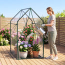 Mini Greenhouse with Metal Frame and Waterproof Cover