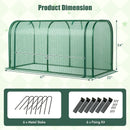 Mini Tunnel Greenhouse with Roll-up Zipper Door