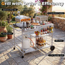 Movable Grill Table with 2 Spice Containers and Station for Backyard and BBQ