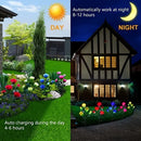 Magic Hue Solar Rose Lights