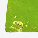 Bronze Arrow Frog Playmat