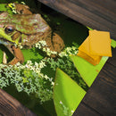 Bronze Arrow Frog Playmat