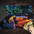 Lantern Lit Frog Playmat