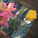 Splendid Pink Summer Playmat