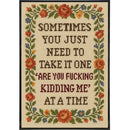 One "Are You F--king Kidding Me" at a Time Poster Print