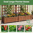 Dual Raised Garden Bed with Trellis and Drainage Holes