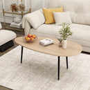 Oval Coffee Table Mid Century Center Table with Sturdy Metal Construction