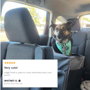 Party Animal Pet Bandana | In Blue With Printed Hearts Designs