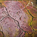 DM Vault for Planescape: Adventures in the Multiverse (D&D)