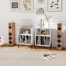 Record Player Stand with Record Storage Shelf and Charging Station