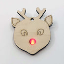 LED Reindeer Racer and Ornament Pack