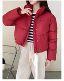 Women Winter Cropped Jacket β Warm Cotton-Padded Puffer Coat