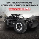 ZWN 1:16/1:20 RC Car 2WD Off-Road Remote Control Car with LED Light