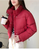 Women Winter Cropped Jacket β Warm Cotton-Padded Puffer Coat