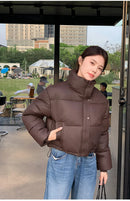 Women Winter Cropped Jacket β Warm Cotton-Padded Puffer Coat