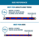 Superman Full Color Blue Seatbelt Belt - Superman Shield/Stripe Red/Blue Webbing