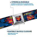 Superman Shield Rays Full Color Black Blue Red Yellow Seatbelt Belt - SUPERMAN MAN OF STEEL Shield Collage/Rays Black/Blues/Reds/Yellows Webbing