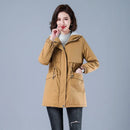 Women Winter Puffer Coat – Warm Cotton Hooded Casual Parka